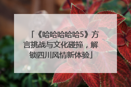 《哈哈哈哈哈5》方言挑战与文化碰撞，解锁四川风情新体验
