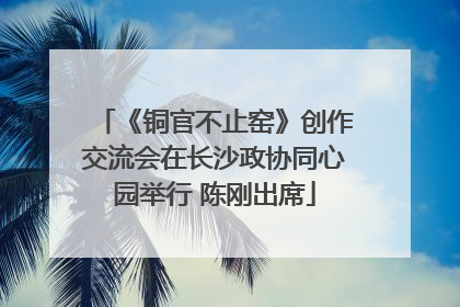《铜官不止窑》创作交流会在长沙政协同心园举行 陈刚出席