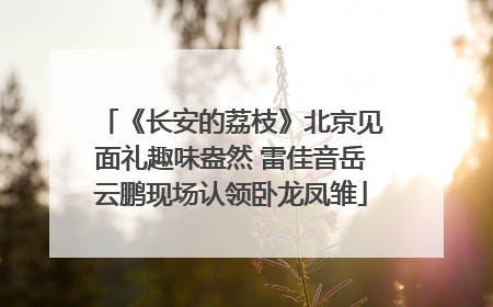 《长安的荔枝》北京见面礼趣味盎然 雷佳音岳云鹏现场认领卧龙凤雏