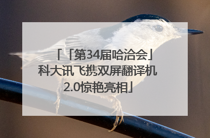 「第34届哈洽会」科大讯飞携双屏翻译机2.0惊艳亮相