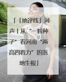 「地评线」河声丨从“一粒种子”看河南“两高四着力”的落地生根