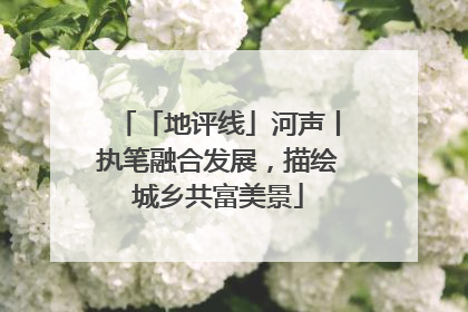 「地评线」河声丨执笔融合发展，描绘城乡共富美景