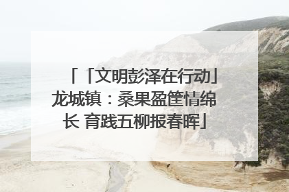 「文明彭泽在行动」龙城镇：桑果盈筐情绵长 育践五柳报春晖