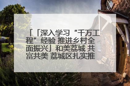「深入学习“千万工程”经验 推进乡村全面振兴」和美荔城 共富共美 荔城区扎实推进乡村振兴工作