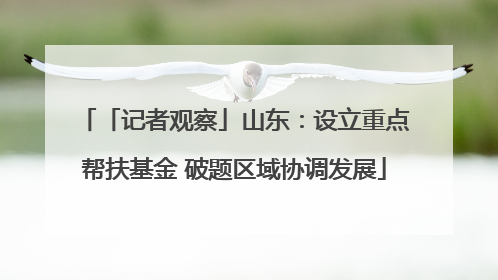 「记者观察」山东：设立重点帮扶基金 破题区域协调发展