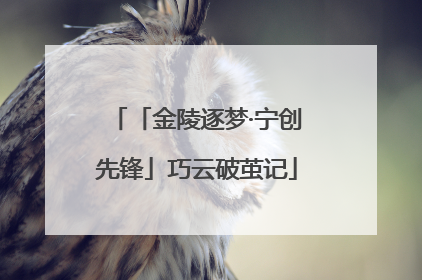 「金陵逐梦·宁创先锋」巧云破茧记