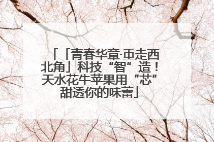 「青春华章·重走西北角」科技“智”造！天水花牛苹果用“芯”甜透你的味蕾