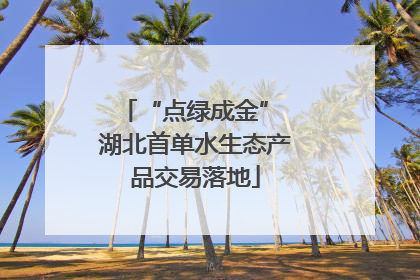 “点绿成金” 湖北首单水生态产品交易落地