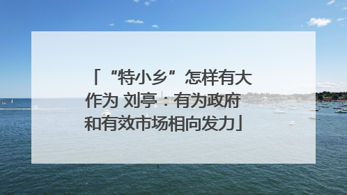 “特小乡”怎样有大作为 刘亭：有为政府和有效市场相向发力