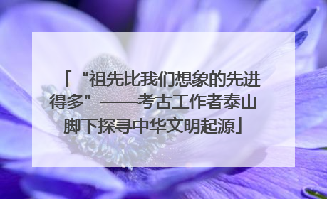 “祖先比我们想象的先进得多”——考古工作者泰山脚下探寻中华文明起源