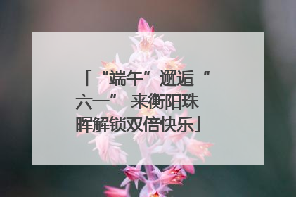 “端午”邂逅“六一” 来衡阳珠晖解锁双倍快乐