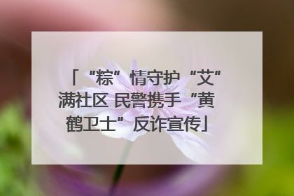 “粽”情守护“艾”满社区 民警携手“黄鹤卫士”反诈宣传