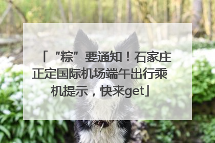 “粽”要通知！石家庄正定国际机场端午出行乘机提示，快来get