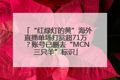 “红绿灯的黄”海外直播单场打赏超71万？账号已删去“MCN三只羊”标识