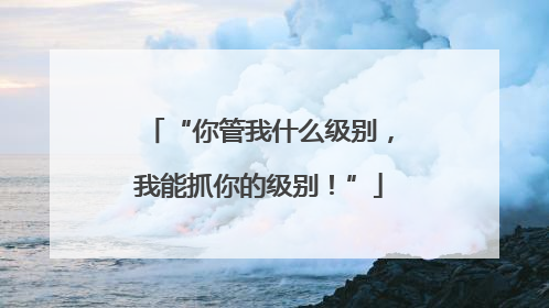 “你管我什么级别，我能抓你的级别！”