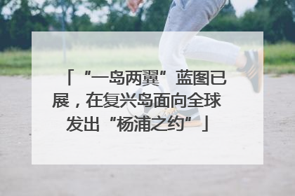“一岛两翼”蓝图已展，在复兴岛面向全球发出“杨浦之约”