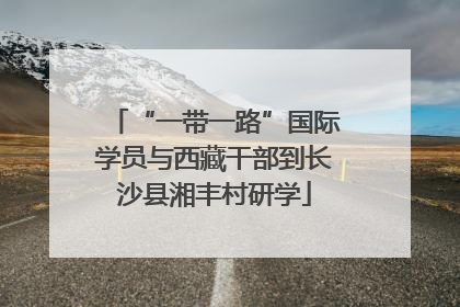 “一带一路”国际学员与西藏干部到长沙县湘丰村研学