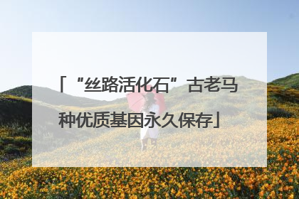 “丝路活化石”古老马种优质基因永久保存