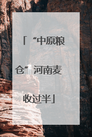 “中原粮仓”河南麦收过半