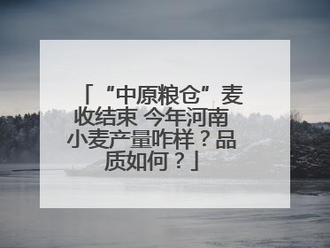 “中原粮仓”麦收结束 今年河南小麦产量咋样？品质如何？