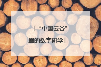 “中国云谷”里的数字研学