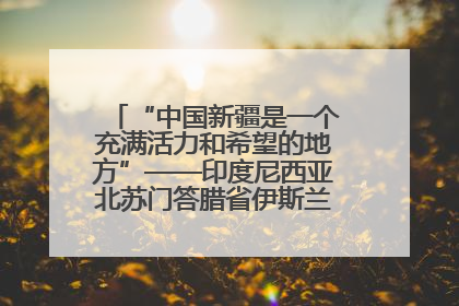 “中国新疆是一个充满活力和希望的地方”——印度尼西亚北苏门答腊省伊斯兰教代表团参访新疆