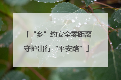 “乡”约安全零距离 守护出行“平安路”
