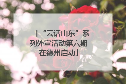 “云话山东”系列外宣活动第六期在德州启动
