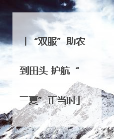 “双服”助农到田头 护航“三夏”正当时