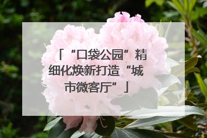 “口袋公园”精细化焕新打造“城市微客厅”