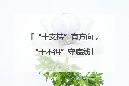 “十支持”有方向，“十不得”守底线