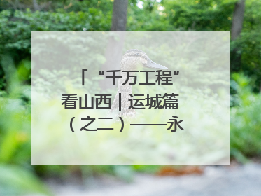 “千万工程”看山西｜运城篇（之二）——永济市东开张村