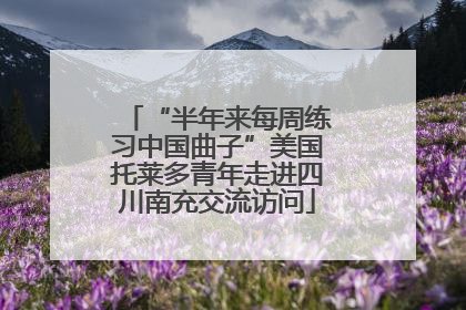 “半年来每周练习中国曲子”美国托莱多青年走进四川南充交流访问