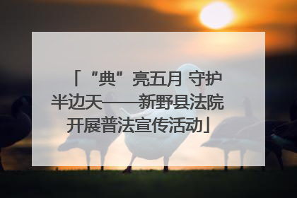 “典”亮五月 守护半边天——新野县法院开展普法宣传活动