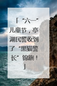 “六一”儿童节，亭湖民警收到了“黑猫警长”锦旗！