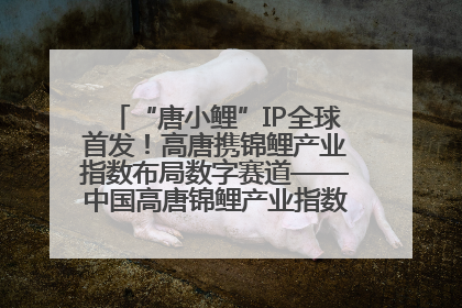 “唐小鲤”IP全球首发！高唐携锦鲤产业指数布局数字赛道——中国高唐锦鲤产业指数暨“唐小鲤”IP全球首发仪式在杭州举行