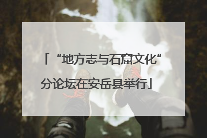 “地方志与石窟文化”分论坛在安岳县举行