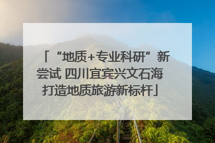 “地质+专业科研”新尝试 四川宜宾兴文石海打造地质旅游新标杆