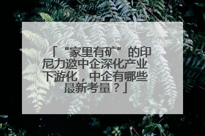 “家里有矿”的印尼力邀中企深化产业下游化，中企有哪些最新考量？