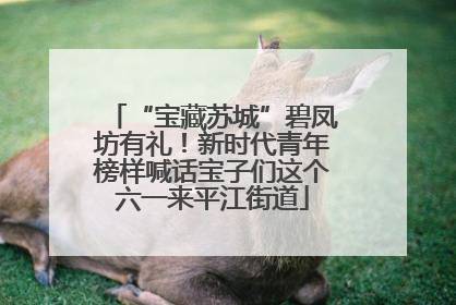 “宝藏苏城”碧凤坊有礼!新时代青年榜样喊话宝子们这个六一来平江街道