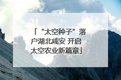“太空种子”落户湖北咸安 开启太空农业新篇章