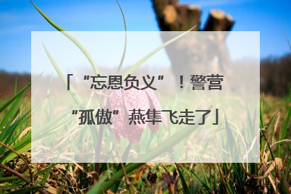 “忘恩负义”！警营“孤傲”燕隼飞走了