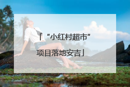 “小红村超市”项目落地安吉