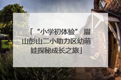 “小学初体验” 眉山彭山二小助力区幼萌娃探秘成长之旅