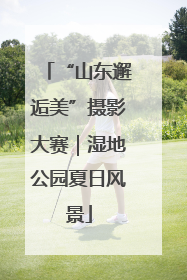 “山东邂逅美”摄影大赛｜湿地公园夏日风景