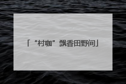 “村咖”飘香田野间