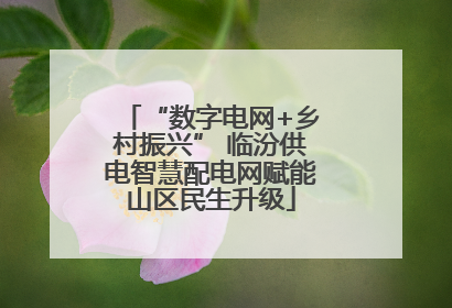“数字电网+乡村振兴” 临汾供电智慧配电网赋能山区民生升级