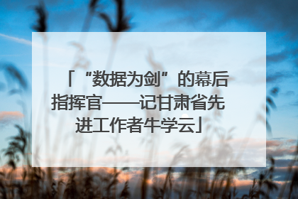 “数据为剑”的幕后指挥官——记甘肃省先进工作者牛学云