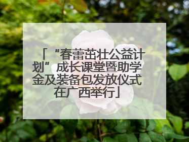 “春蕾茁壮公益计划”成长课堂暨助学金及装备包发放仪式在广西举行