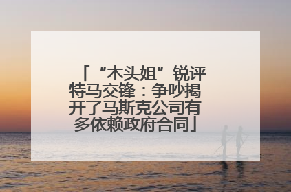 “木头姐”锐评特马交锋：争吵揭开了马斯克公司有多依赖政府合同